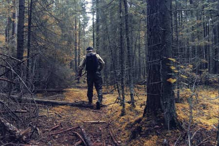 Купить диплом Егеря, лесника в Тамбове