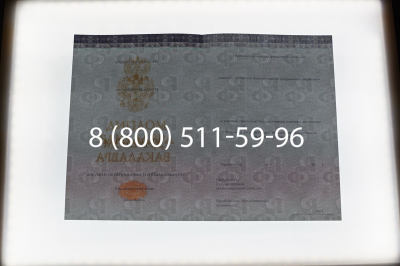 Заказать Диплом бакалавра (Киржач) 2014-2024 года в Тамбове