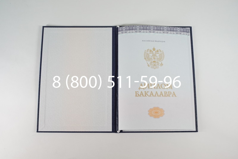 Диплом бакалавра (Киржач) 2014-2024 года в Тамбове