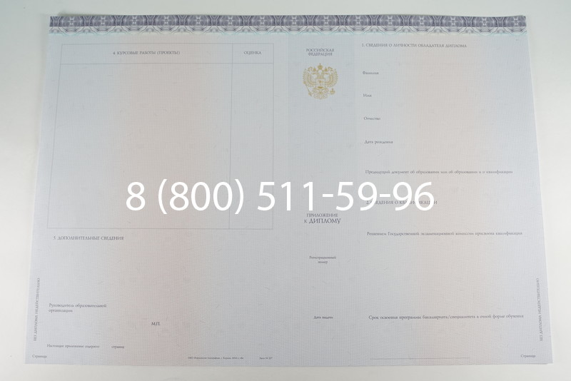 Диплом бакалавра (Киржач) 2014-2024 года в Тамбове