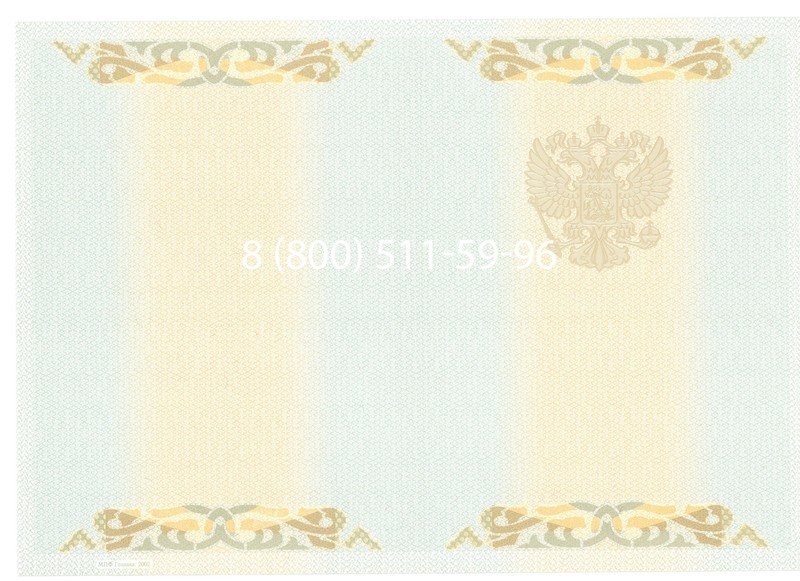 Купить Диплом бакалавра 2003-2009 годов в Тамбове