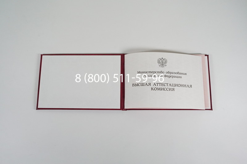 Диплом доктора наук 1995-2006 года в Тамбове Диплом доктора наук 1995-2006 года в Тамбове