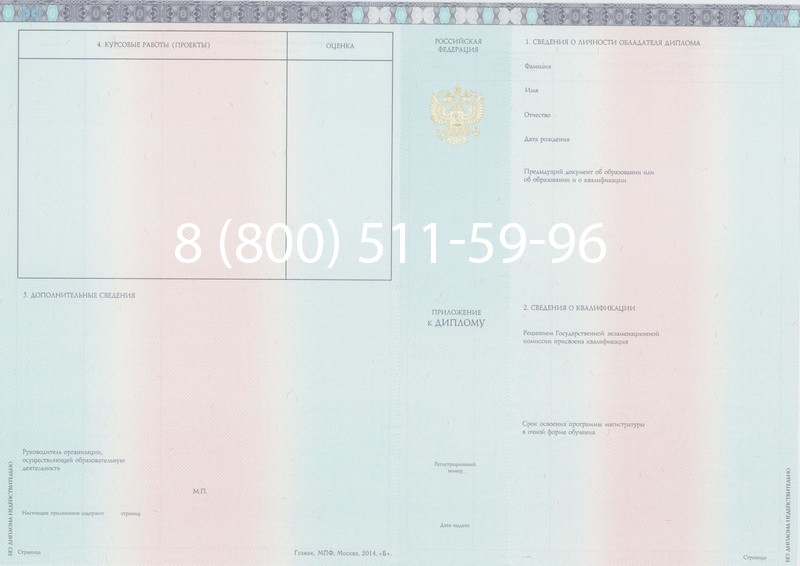 Заказать Диплом магистра 2014-2024 года в Тамбове