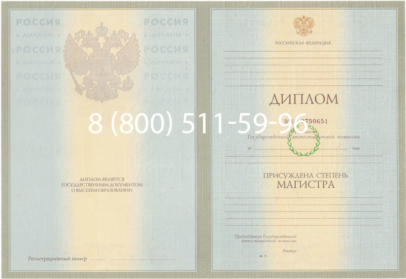 Купить Диплом магистра 2003-2009 годов в Тамбове