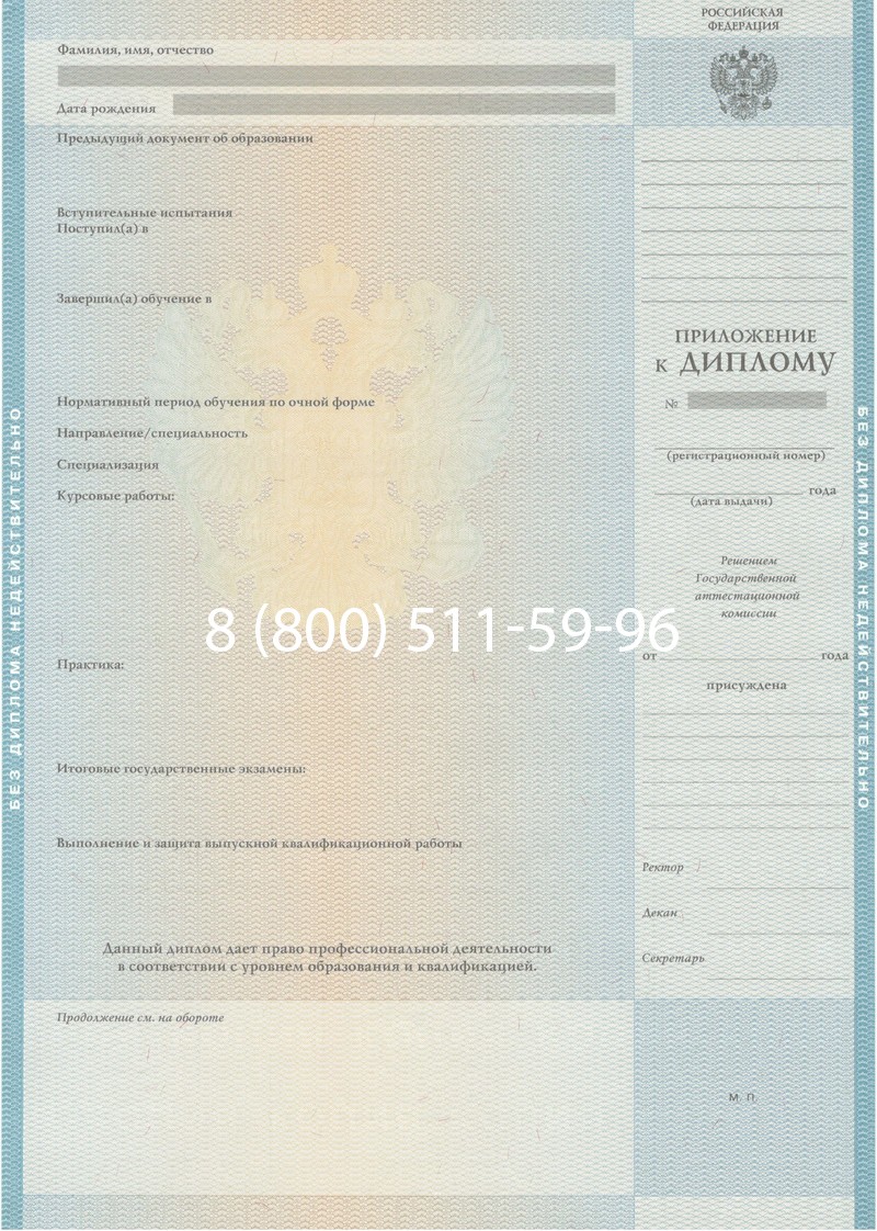 Заказать Диплом специалиста 2010-2011 годов в Тамбове