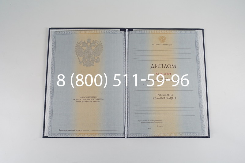 Диплом специалиста 2012-2013 годов в Тамбове Диплом специалиста 2012-2013 годов в Тамбове