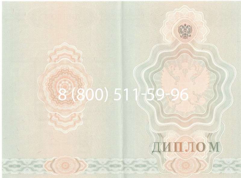Купить Диплом училища 2007-2009 годов в Тамбове Купить Диплом училища 2007-2009 годов в Тамбове